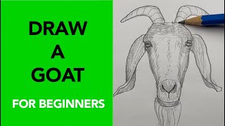 Draw a Goat | Easy step-by-step drawing lesson for beginners