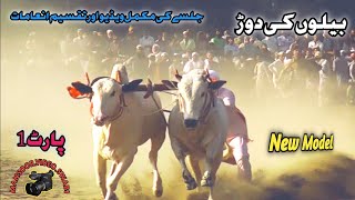 Bull Race in || Panjab || Part 1- 27rd Nov 2022 (English Subtitles) - Mansoor Video Swabi