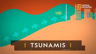 ¿Por qué se producen los tsunamis? | 101 Videos