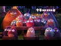 【電影預告】《憤怒鳥大電影》the angry birds movie 最新預告