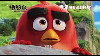 【電影預告】《憤怒鳥大電影》The Angry Birds Movie 最新預告