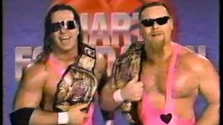 Hart Foundation Promo [1990-11-03]