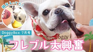 【DoggyBox】過去最高のラインナップかも！フレブルにぴったり☆おやつ天国と親友が同時に手に入りましたw