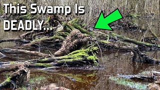 Ghillie Swamp Camo They Couldn’t See ☠️ (Airsoft Sniper)