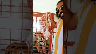 Bengal tiger TOny K Lye Meat Bohat Khush hua  #tigerlife #animallover  #bengalti