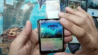 【開封動画】　遊戯王OCG デュエルモンスターズ あれこれ色んなBOX開封してみた！