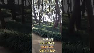 서천 송림 산림욕장 황톳길 맨발걷기