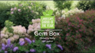 Landscape Shrub of the Year 2020