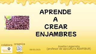 Seguimiento del control de la enjambrazón y partición de colmenas, creación de enjambres
