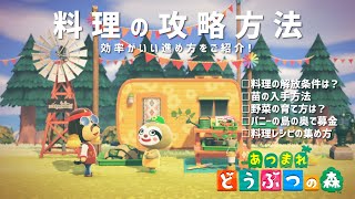 【あつ森】料理攻略方法！効率的な進め方は？野菜の苗入手方法・育て方は？パニーの島にレイジを呼ぶ方法は？レシピの集め方など一挙公開【あつまれどうぶつの森】