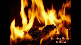 Onyan \u0026 Burning Flames - Bullbud \