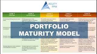 How to Use a Portfolio Management (PPM) Maturity Model