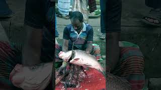 WOW!! Big Size Katla Fish Cutting Skills #shorts #viral #fish_cutting #trending #bongofish