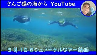 5月10日　シュノーケリングツアーの様子を動画でご紹介します！