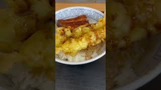 ヒライのうな海老天丼ミニうどんセット