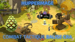 [Dofus 2.71] Combat tactique BALISE CRA \