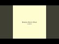 Breeze Storm Silver