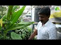 മട്ടുപ്പാവിലെ ഒരു അദ്‌ഭുതത്തോട്ടം i mixed farming in terrace kochi i shaiju kelanthra