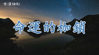 【天涯神貼】原生家庭：命運枷鎖還是靈魂試煉？— 破解有毒親子關系的深層密碼 | 從痛苦到自救，如何突破親子關系的傷痛與束縛，成就真正的自我？