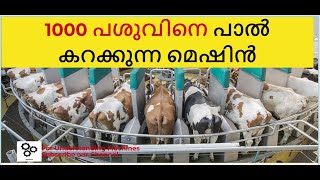 1000 പശുവിനെ പാൽ കറക്കുന്ന മെഷിൻ  Amazing Intelligent Technology Modern Cow Milking