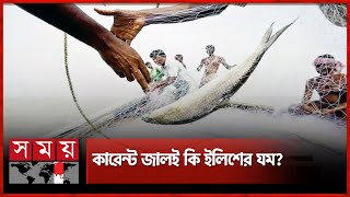 ইলিশ মাছ যায় কোথায়, ৫ অভয়াশ্রমে গবেষণা | Hilsa Fishing | Fishing in Chandpur | Somoy TV