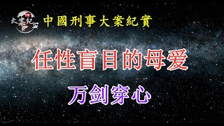 《法治故事》任性盲目的母爱万剑穿心