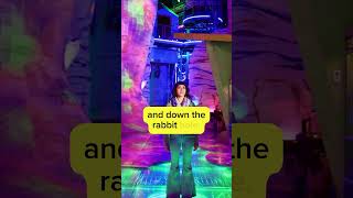 What is Meow Wolf?