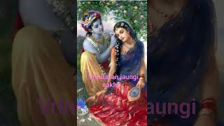 Vrindavan jaungi sakhi| Krishna bhajan| Radha Krishna | youtube shorts| viral