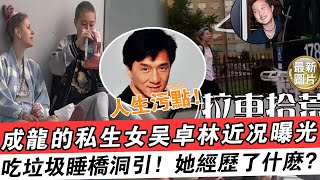 成龍的“人生污點” 【私生女】吳卓林近況曝光，吃垃圾睡橋洞引人熱議，她的生活究竟經歷了什么？！#成龍#王菲#私生女#吳卓林