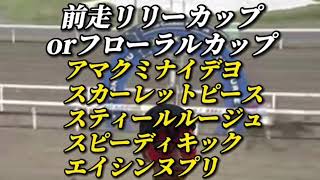 第24回エーデルワイス賞（2021.10.14 門別競馬場）三心占い🐎