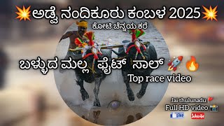 ಅಡ್ವೆ ನಂದಿಕೂರು ಕಂಬಳದ 💥 ಬಳ್ಳುದ ಮಲ್ಲ  ಫೈಟ್ ಸಾಲ್ ವಿಡಿಯೋ 💥 top race 🔥full HD video ( jai thulunadu 🚩)