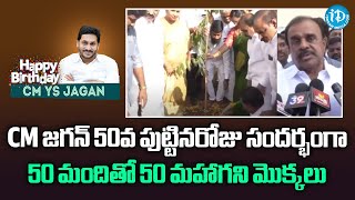 CM జగన్ 50వ పుట్టినరోజు సందర్భంగా 50 మందితో 50 మహాగని మొక్కలు | Anantapur | iDream News