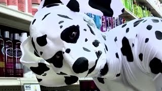 Dalmatian | The Eric Andre Show | Adult Swim