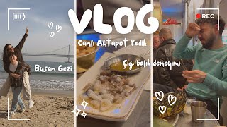 Canlı Ahtapot Yedik 🐙 Kardeşimin çiğ balık ile imtihanı 🐟 | BUSAN VLOG