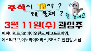 [웃지] 3월11일 관심주 - 피씨디렉트,SK바이오랜드,에코프로비엠,에스티큐브,이노와이어리스,RFHIC,한진칼,서남