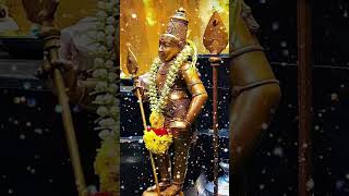 முருகனை வணங்கினால் வாழ்க்கை மாறும் #subscribe ,🙏🙏🦚🦚