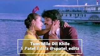 Tu Mile Dil Khile Hindi Song - Criminal Movie | Alka Yagnik, Kumar Sanu, Nagarjuna, Manisha Koirala