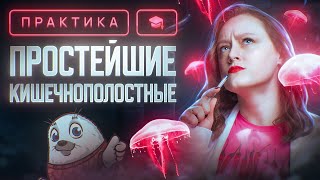 Простейшие. Кишечнополостные | ЕГЭ-2025 по биологии