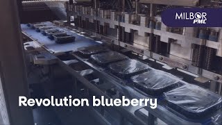 Tray sealer Revolution, top seal blueberry | Milbor PMC