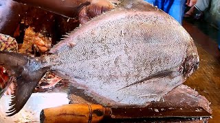 Amazing New Skills!! Fast Big Pomfret Fish Cutting in Fish Market | Fish Cutting Skillsfas