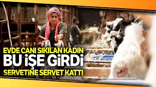 Evde Canı Sıkılan Kadın, Hayvancılık İşine Girip 5 Milyon Liralık Servet Sahibi Oldu