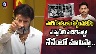 ఎవ్వడిని వదిలిపెట్ట.. నేనేంటో చూపిస్తా | Balakrishna mass warning To Ys Jagan | Mic Tv News