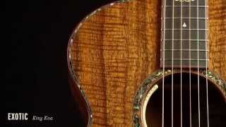 Breedlove  KING KOA Guitar