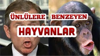 ÜNLÜLERE ŞAŞIRTICI DERECEDE  BENZEYEN HAYVANLAR HAYRET EDECEKSİNİZ