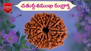 చతుర్దశ ముఖి రుద్రాక్ష | Chaturdasha Mukhi Rudraksha | SS Gems \u0026 Rudraksha | ECIL | Hyderabad