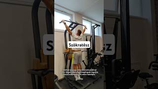 Szókratész 2025 #trending #personaltrainer #motivation #health #socrates #life #strength #2025 #fit