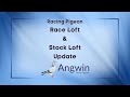 Racing Pigeons - Race Loft & Stock Loft Update from Angwin Family Pigeons