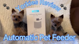 Rellorus Automatic Pet Feeder for Two Pets w/ Double Bowls💥What do the Yorkies think? #dogs #paws