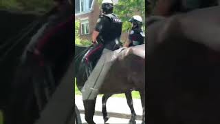 Proud woman police patrolling on beautiful horses.