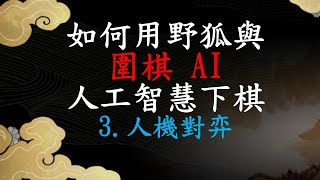 如何用野狐與圍棋ＡＩ人工智能下棋   3.人機對弈